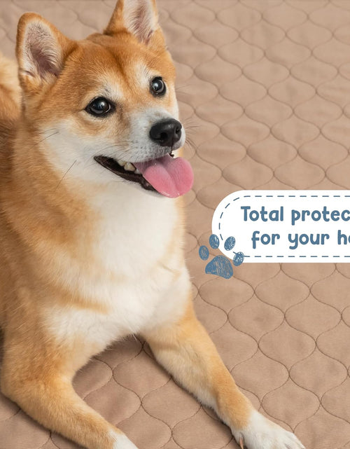 Load image into Gallery viewer, Washable Pee Pads for Dogs - Waterproof and Reusable Training Floor Pads, Whelping Dog Pee Pads, Absorbent Dog Training Bed, Puppy Training Pads Supplies, Absorbent Pet Pen Floor Pad, 48-In
