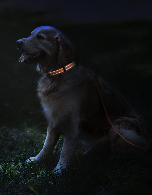 Load image into Gallery viewer, Reflective Dog Collar for a Small, Medium, Large Dog or Puppy with a Quick Release Buckle - Boy and Girl - Nylon Suitable for Swimming (10-13 Inch, Orange)
