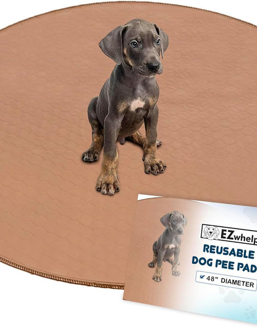 Load image into Gallery viewer, Washable Pee Pads for Dogs - Waterproof and Reusable Training Floor Pads, Whelping Dog Pee Pads, Absorbent Dog Training Bed, Puppy Training Pads Supplies, Absorbent Pet Pen Floor Pad, 48-In
