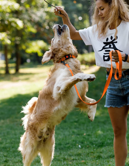Load image into Gallery viewer, Reflective Dog Collar for a Small, Medium, Large Dog or Puppy with a Quick Release Buckle - Boy and Girl - Nylon Suitable for Swimming (10-13 Inch, Orange)
