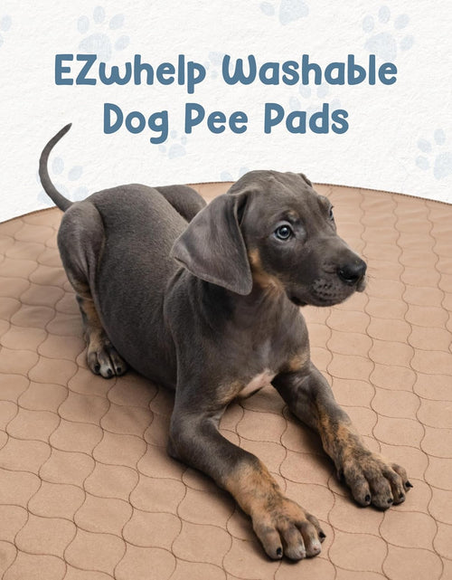 Load image into Gallery viewer, Washable Pee Pads for Dogs - Waterproof and Reusable Training Floor Pads, Whelping Dog Pee Pads, Absorbent Dog Training Bed, Puppy Training Pads Supplies, Absorbent Pet Pen Floor Pad, 48-In
